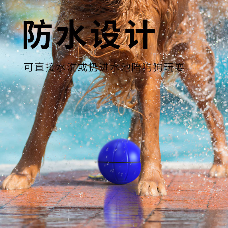 自動寵物玩具球-藍(lán)